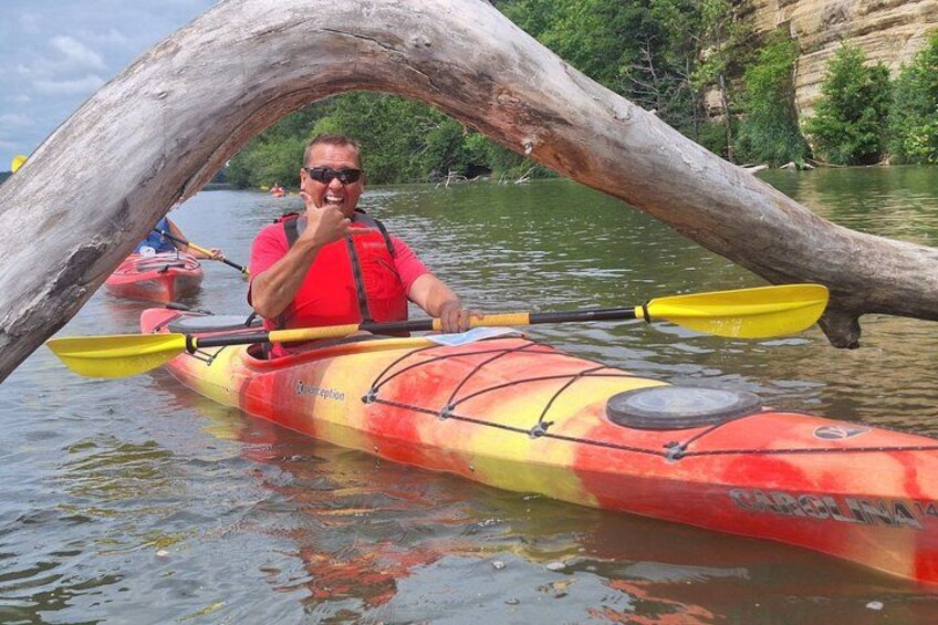 A person in a red and yellow kayak on calm water, with a large log partially submerged in the background. 3