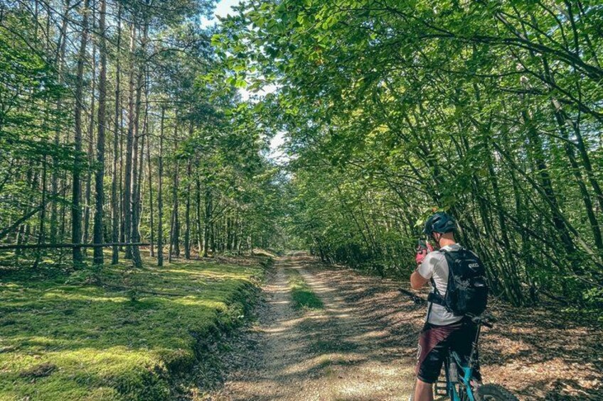 A forested path with a person on a bicycle. 4
