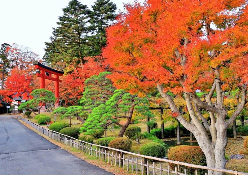 Un sendero bordeado de árboles con follaje otoñal, un tradicional torii rojo y un estanque tranquilo. 2
