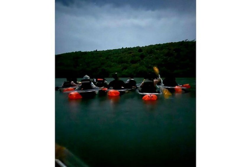 A group of kayaks on calm water with a forested hill in the background. 3
