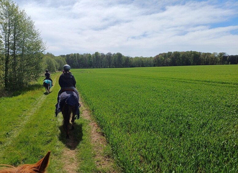 Two people horseback riding on a dirt path through a green field with trees in the background. 3