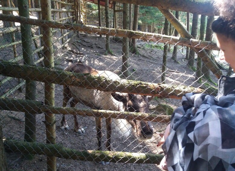 Picture 10 for Activity From Iași: Bucovina 2-Day Tour with Hotel Pickup 3