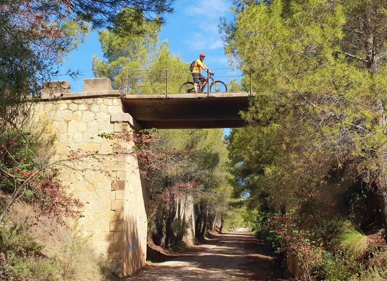 A person on a bicycle on a stone bridge over a forested path. 3