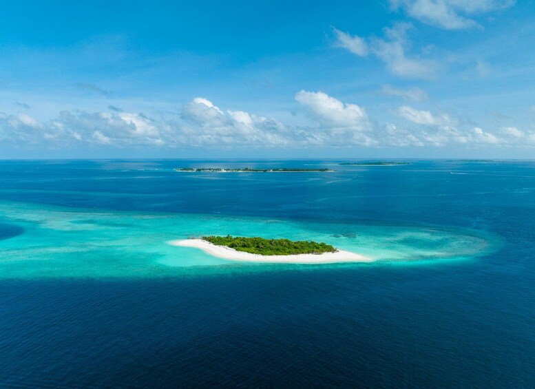 Picture 1 for Activity Kota Kinabalu: Guided Snorkeling Tour with Lunch + Icecream 5