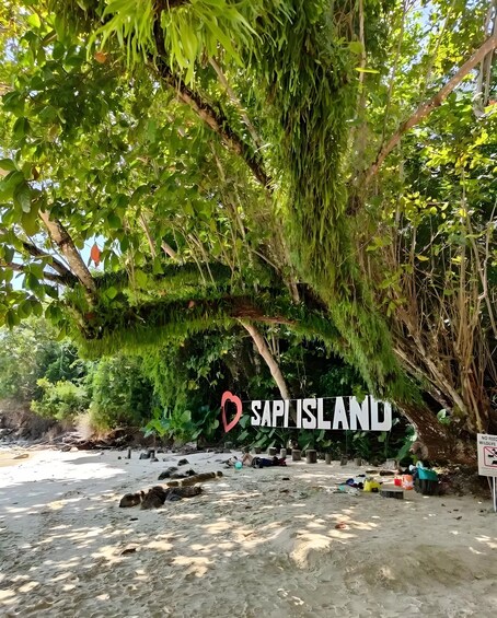 Picture 2 for Activity Kota Kinabalu: Guided Snorkeling Tour with Lunch + Icecream 2