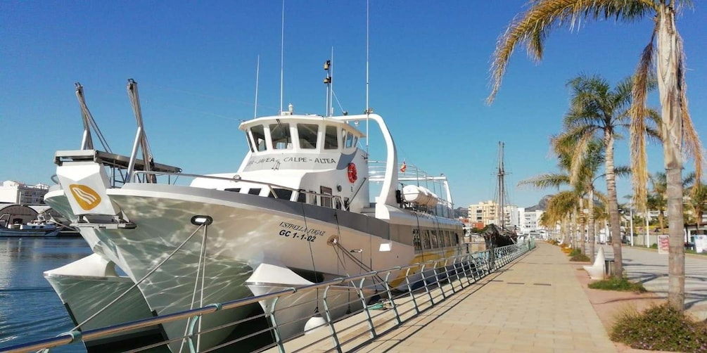 Un barco atracado en un puerto deportivo, con cielo despejado, palmeras y un paseo pavimentado. 5