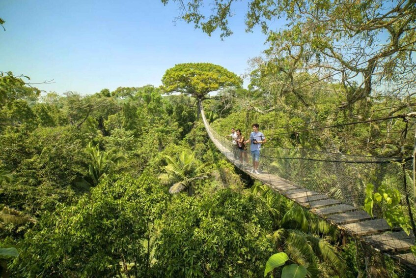 Picture 3 for Activity Puerto Maldonado: 5-Day Amazon Adventure, Fishing & Wildlife 5