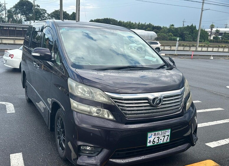 Picture 5 for Activity Tokyo 5-Hour Private Tour Car with NRT/HND Airport Transfer 3