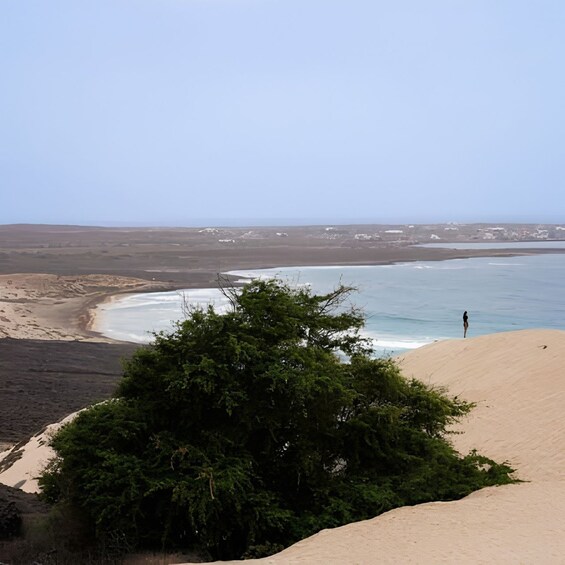 A coastal landscape with a person standing on a sand dune, overlooking a beach with gentle waves. 2