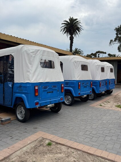 A row of blue and white covered vehicles parked on a paved area. 1