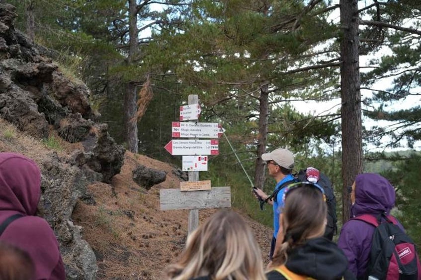 Picture 4 for Activity Mount Etna: Monte Grosso Geology Guided Trail Hike 3