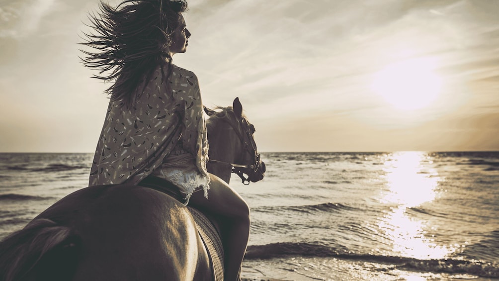 Una persona montando a caballo en una playa al atardecer. 3