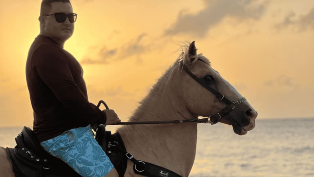 Una persona montando a caballo en una playa al atardecer. 2