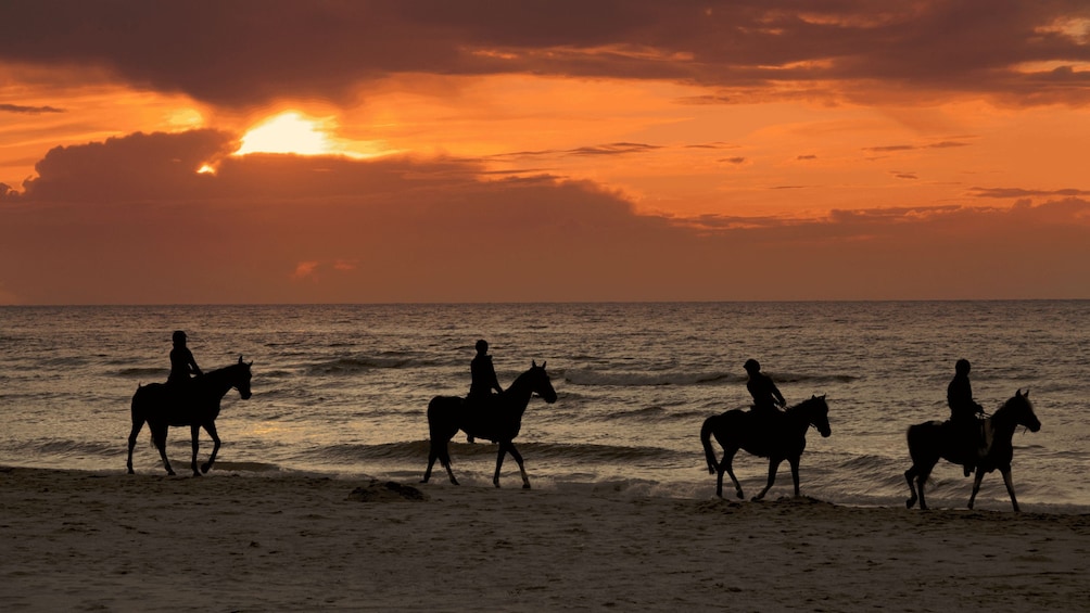 Siluetas de tres personas montando a caballo en una playa al atardecer. 1
