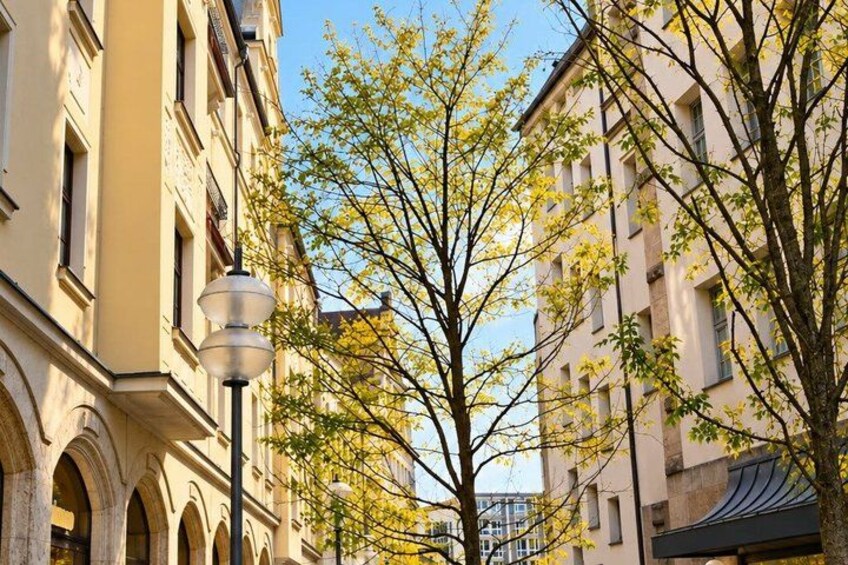 A street with buildings, a tree with yellow leaves, and a street lamp. 4