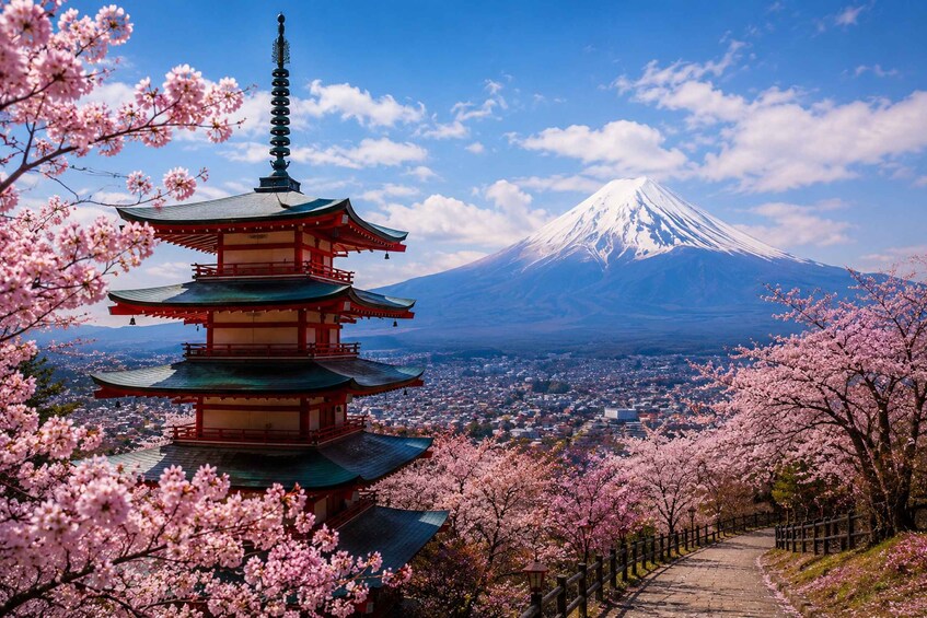Picture 2 for Activity Tokyo: Mt Fuji,Gotemba outlet & pagoda Tour with Guide 4