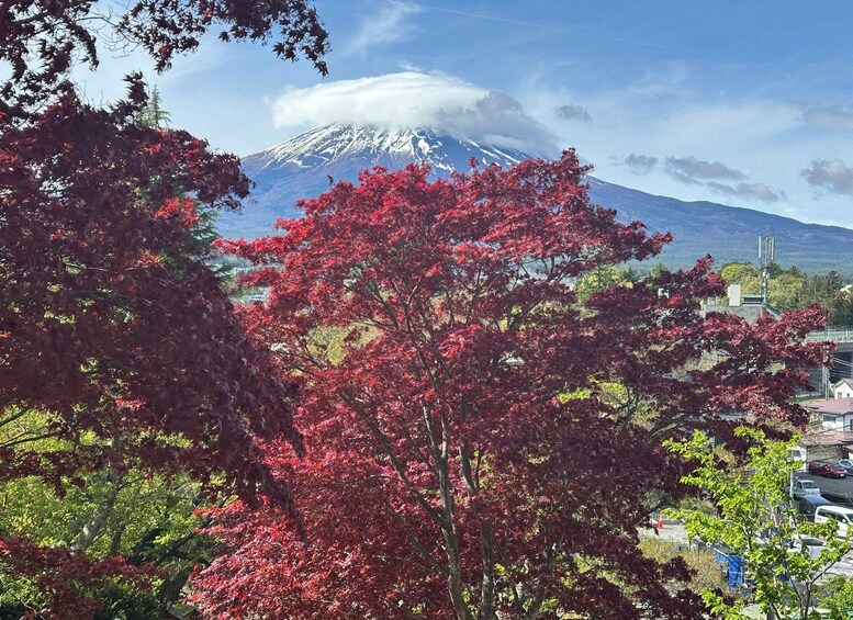 Picture 6 for Activity Tokyo: Mt Fuji,Gotemba outlet & pagoda Tour with Guide 3