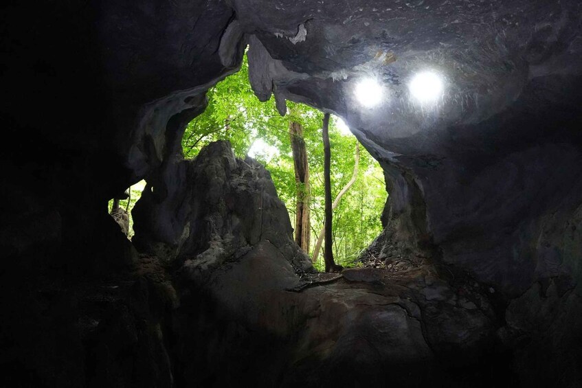 L’entrée d’une grotte, baignée de lumière solaire filtrant à travers les roches, et entourée de formations rocheuses. 3