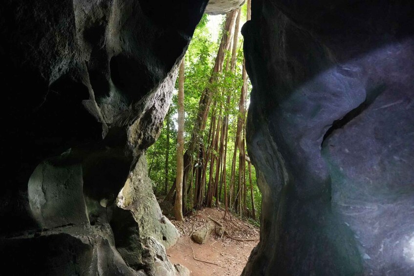 L'entrée d'une grotte donnant sur une forêt. 5
