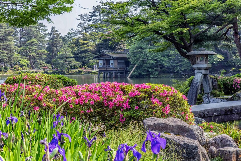 A traditional Japanese building by a lake, surrounded by vibrant pink azaleas and purple irises. 1