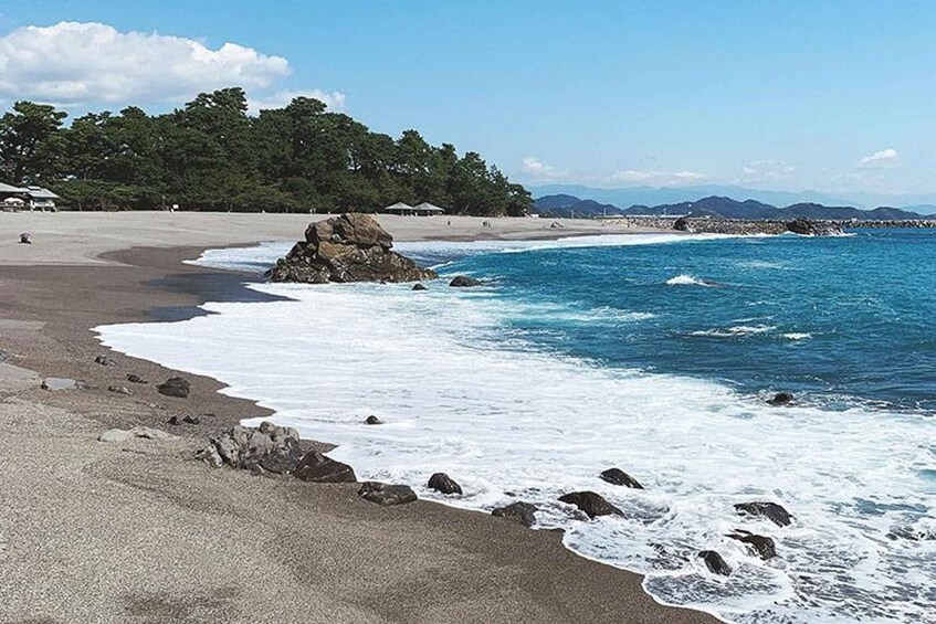 A beach with waves, rocks, and a forest in the background. 2