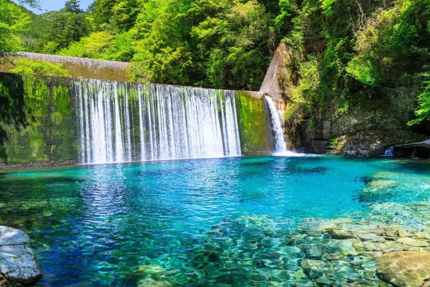 A waterfall cascading into a clear blue pool surrounded by lush greenery. 3