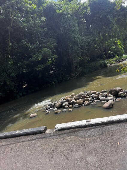 Picture 2 for Activity Grenada: River Tubing Adventures 2