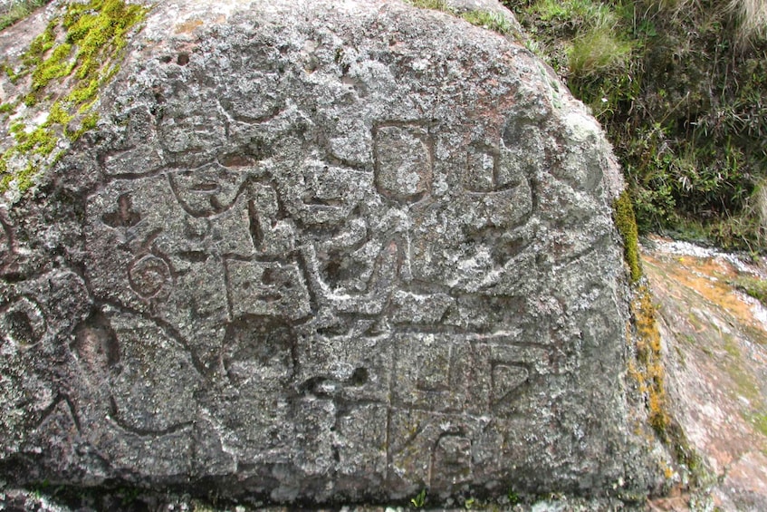 A large rock with ancient carvings and moss growth. 3