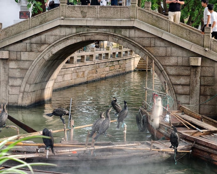 Un puente de piedra sobre el agua, con gente y aves. 5