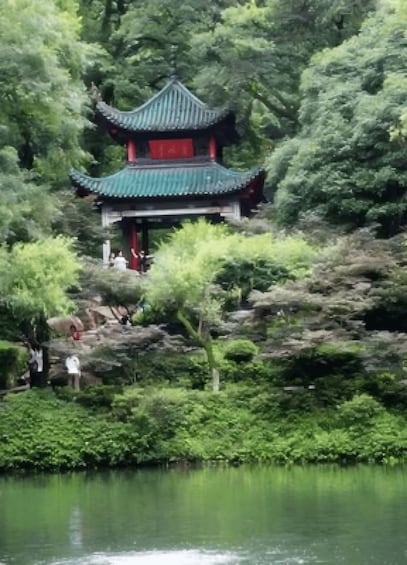 Una pagoda tradicional rodeada de exuberante vegetación y un cuerpo de agua tranquilo. 2