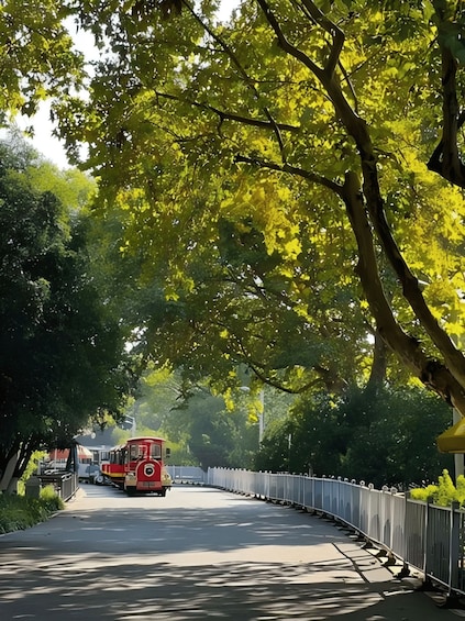 Un tren rojo sobre un puente curvo rodeado de frondosos árboles verdes. 4