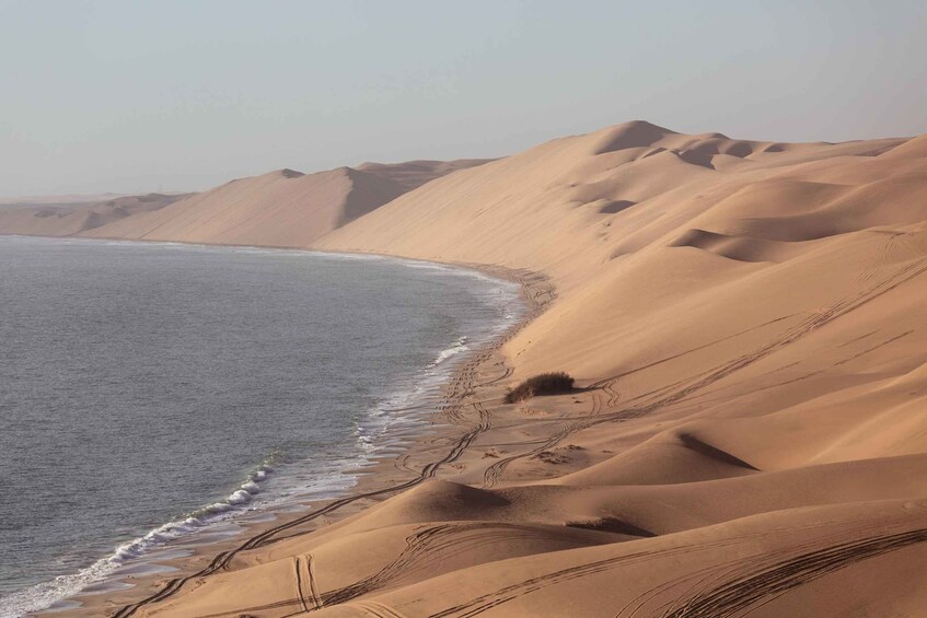 Picture 41 for Activity Sandwich Harbour: Sunset Photography Tour from Swakopmund 5