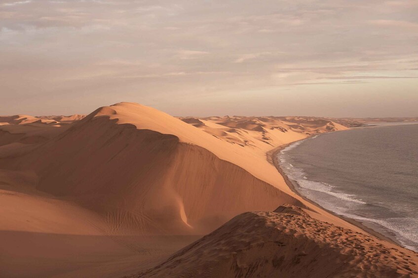Picture 13 for Activity Sandwich Harbour: Sunset Photography Tour from Swakopmund 2
