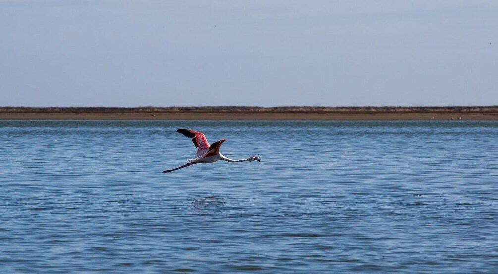 Picture 18 for Activity Sandwich Harbour: Sunset Photography Tour from Swakopmund 4
