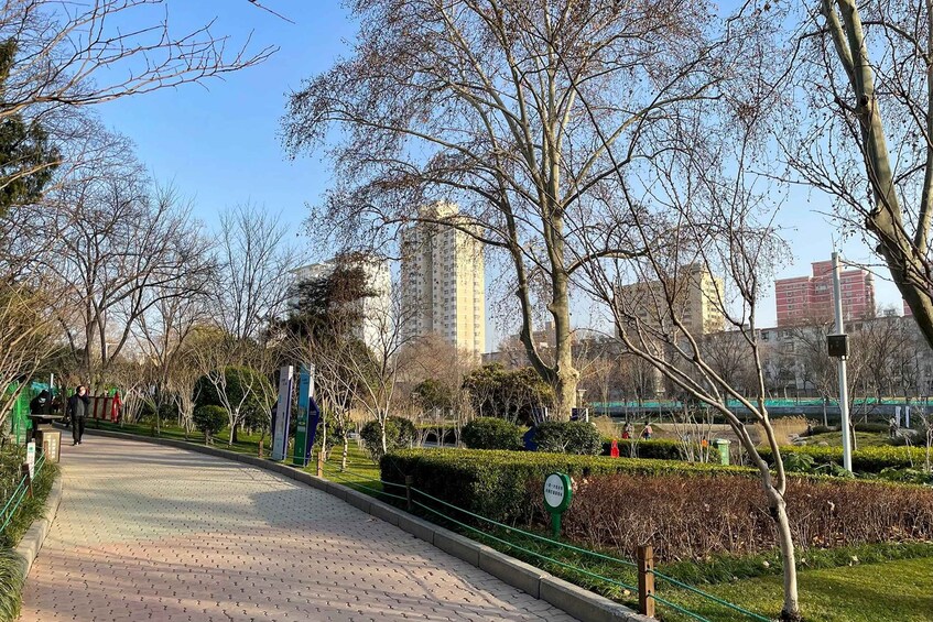 A paved pathway in a park with trees and a distant view of buildings. 3