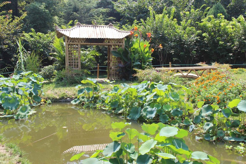 A garden with a pond, lotus plants, a gazebo, and various flowering plants. 5