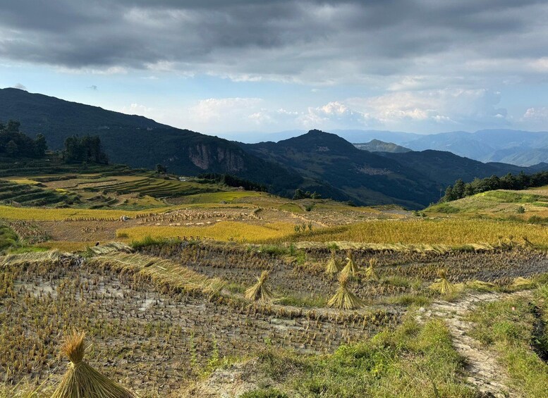 Picture 5 for Activity Kunming: Yuanyang Hani Rice Terraces Cultural Morning Tour 3
