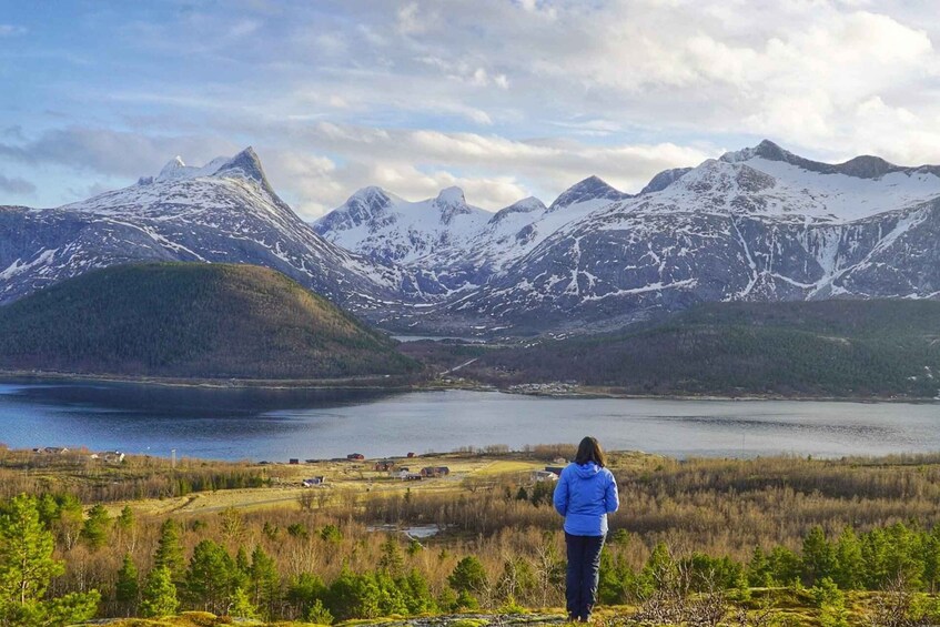 Une personne se tient sur une colline herbeuse, d’où elle a une vue sur un lac, avec des montagnes en arrière-plan. 1