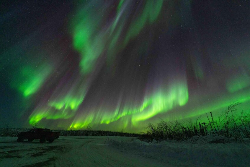 Picture 5 for Activity Private Northern Lights Photography Tour in Fairbanks 2