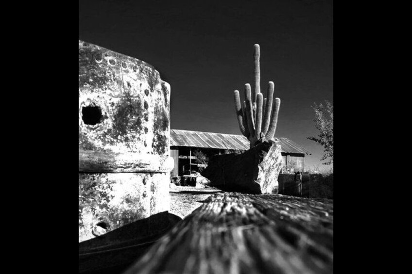 A cactus in a pot, a rusted metal structure, and a building with a corrugated metal roof. 2