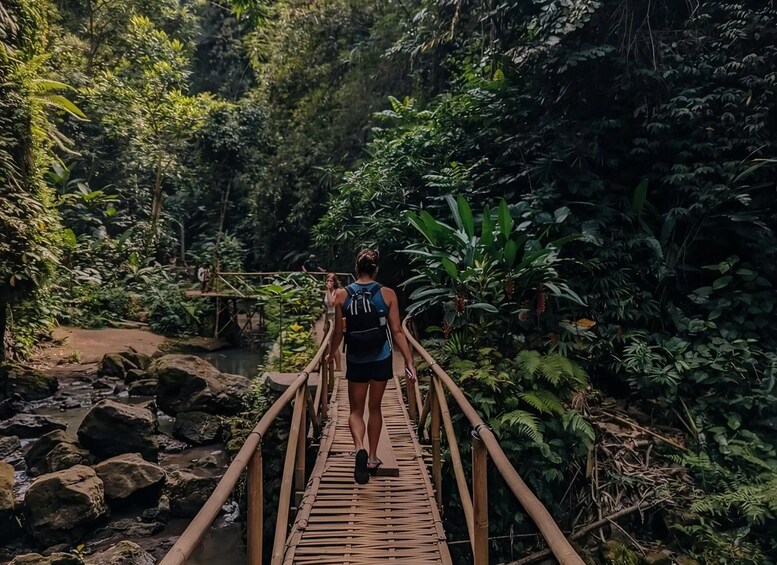 Picture 3 for Activity Bali: Full-Day Hidden Waterfalls & Nature Tour 2