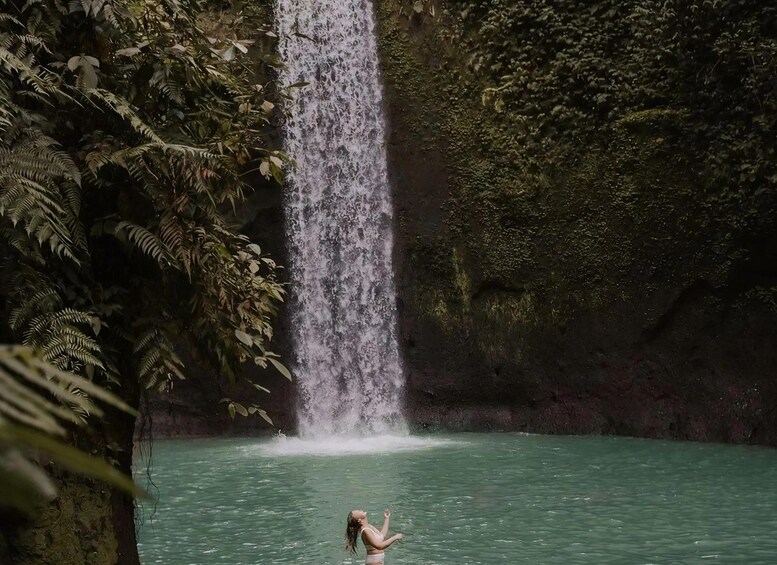 Picture 1 for Activity Bali: Full-Day Hidden Waterfalls & Nature Tour 4