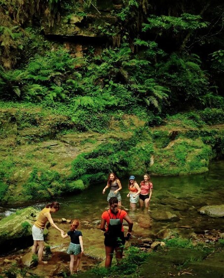 Picture 2 for Activity Beyond Avatar: Yellow Dragon Cave&Baofeng Lake Private Tour 3