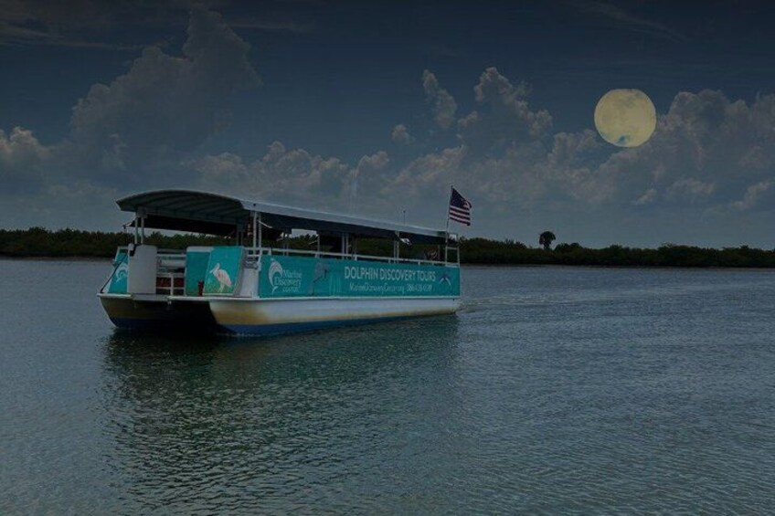 A boat with 'Dolphin Discovery Tours' written on the side, floating on calm water under a night sky with a full moon. 1