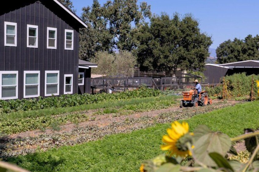 A person operating a tractor in a garden area with a house in the background. 4