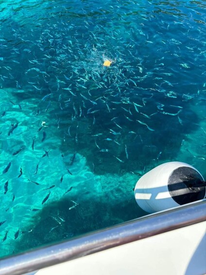 A clear blue sea with a boat's wheel and a school of fish swimming in the water. 4