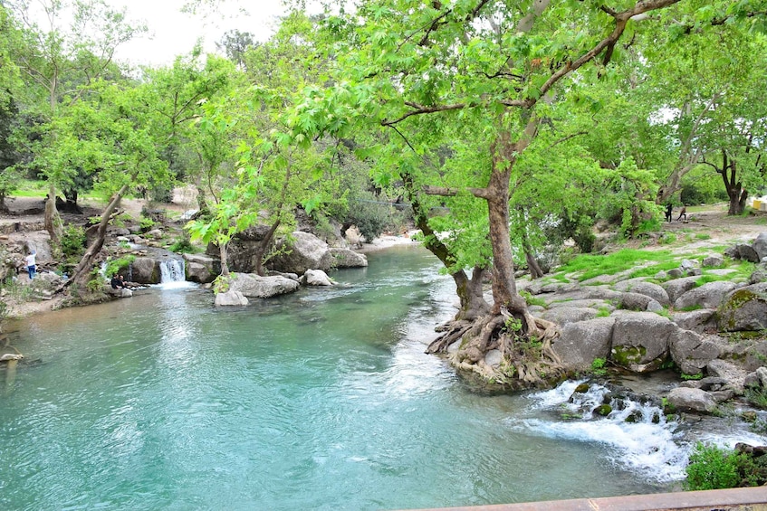 Un río serpentea por un paisaje rocoso con árboles y una pequeña cascada. 3