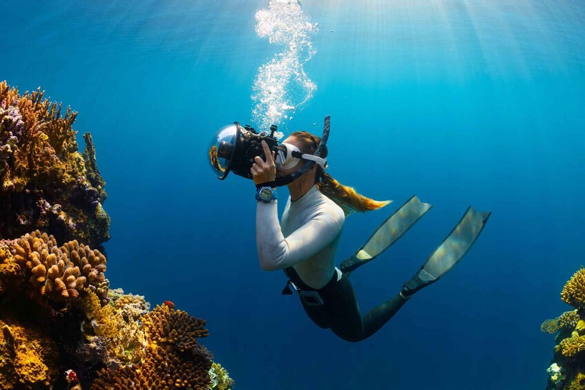 A diver with fins and a helmet, surrounded by coral reefs. 1