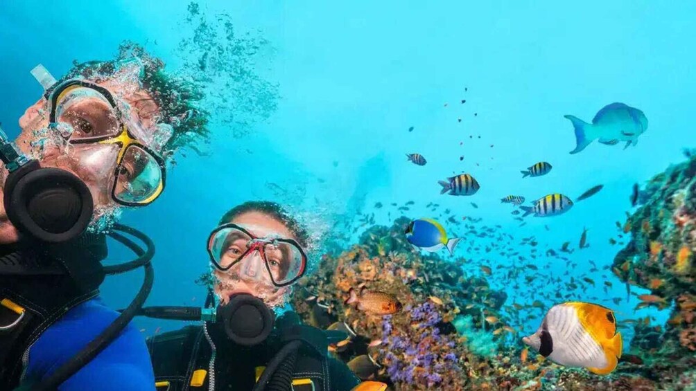 Two scuba divers underwater with fish and coral reefs in the background. 2