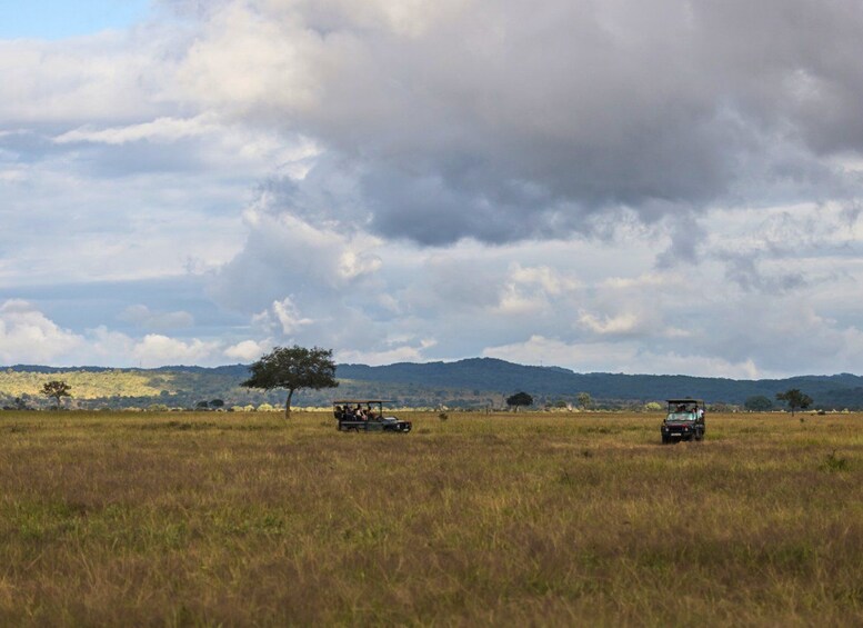 Un vehículo safari en un campo de hierba, con cielo nublado y colinas al fondo. 2
